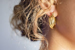 Load image into Gallery viewer, Sophia Twisted Hoop Earrings
